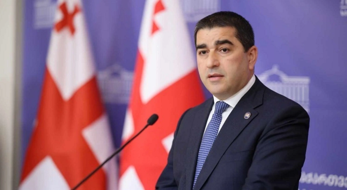 Папуашвили: ЕК выбирает не диалог с Грузией, а конфронтацию