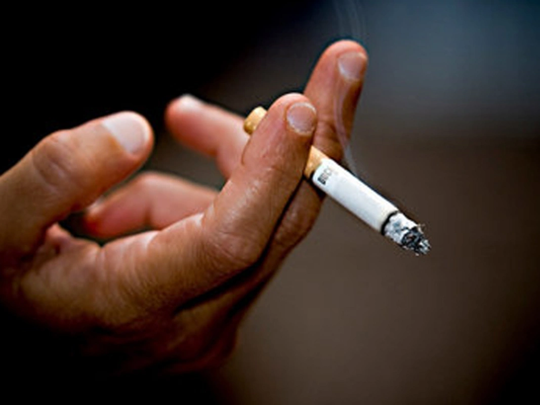 Bəzi restoranlarda siqaret qadağasına əməl edilmir - ŞİKAYƏT