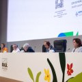 COP30-da Şəhərlərin iqlim fəaliyyəti üçün Bakı Davamlılıq Koalisiyasının panel müzakirələri keçirildi - FOTO