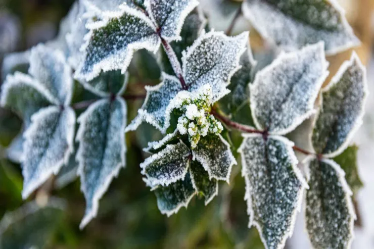 Hava soyuyur, 2 dərəcə şaxta olacaq - PROQNOZ