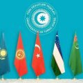 ТЮРКСКИЙ ВЕК: почему 2025 год стал важным этапом для тюркских государств Центральной Азии и Южного Кавказа 