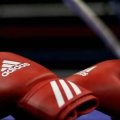 Azərbaycan millisi Avropa çempionatına 20 boksçu ilə qatılacaq