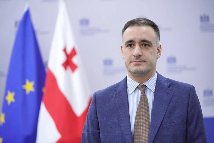 Азербайджан вошел в число основных инвесторов Грузии - Вахтанг Цинцадзе