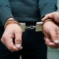 В Грузии двух граждан Азербайджана задержали по обвинению в мошенничестве