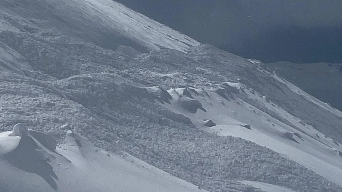 Türkiyədə 3 çoban qar uçqununa düşdü, birinin meyiti tapıldı – YENİLƏNİB