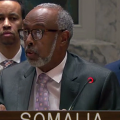 Mask Somalinin BMT-dəki daimi nümayəndəsini həbs etməyə çağırıb