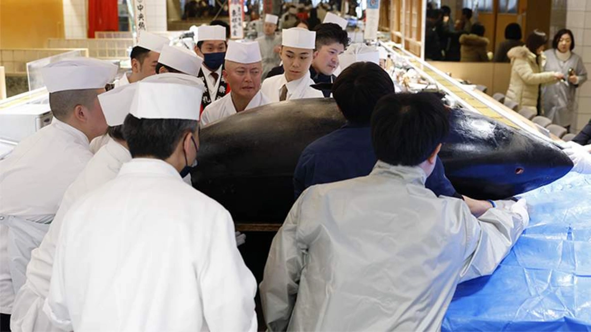 В Японии продали голубого тунца по рекордной цене