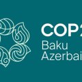 COP29 Azərbaycan Əməliyyat Şirkəti ləğv edildi