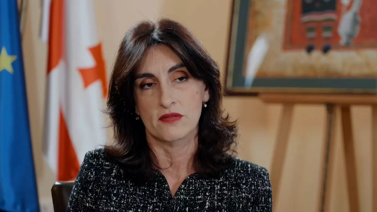 Глава МИД Грузии: Средний коридор имеет жизненно важное значение для региона