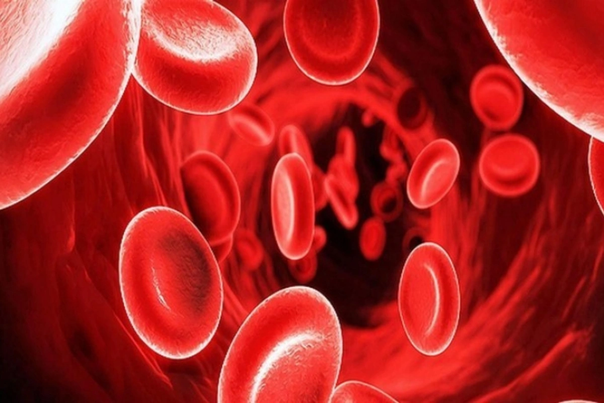 Qanazlığı yaddaşı və diqqəti zəiflədir? - Səhiyyə Nazirliyinin mütəxəssisindən AÇIQLAMA