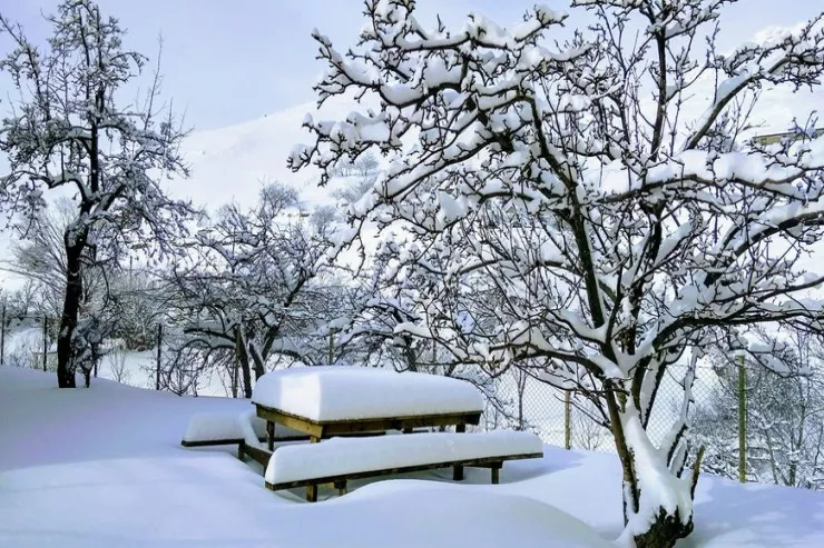 Zaqatalada qar örtüyünün hündürlüyü 41 santimetrə çatıb - FAKTİKİ HAVA
