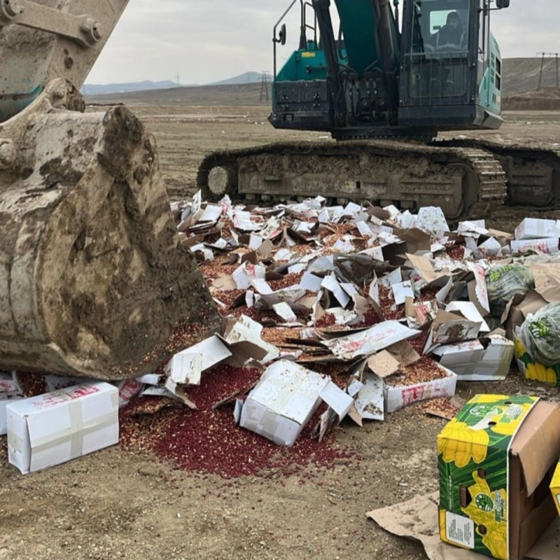 Uyğunsuzluq aşkarlanan araxis məhsulunun satışa çıxarılmasının qarşısı alınıb