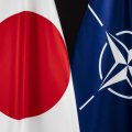 Япония и НАТО обсудили сотрудничество в сфере кибербезопасности