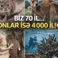 Biz 80 il, onlar isə 4000 il yaşayırlar - heyrətamiz məlumatlar