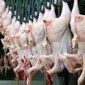 С завтрашнего дня Турция приостанавливает экспорт куриной продукции