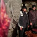 Жители Тертера пытались продать почти 150 кг конины под видом говядины