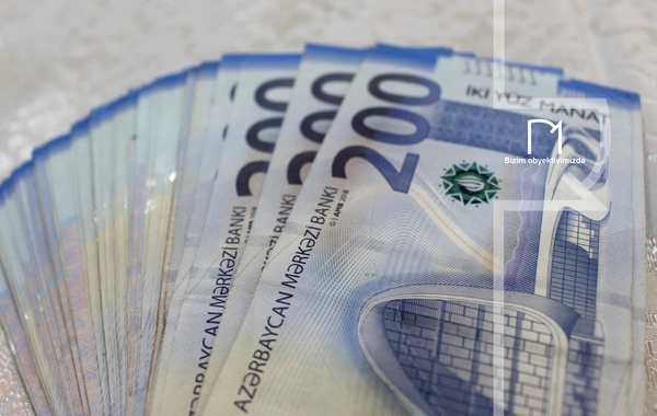 Milli Qəhrəmanın qızı dələduzluqla üzləşdi - VİDEO