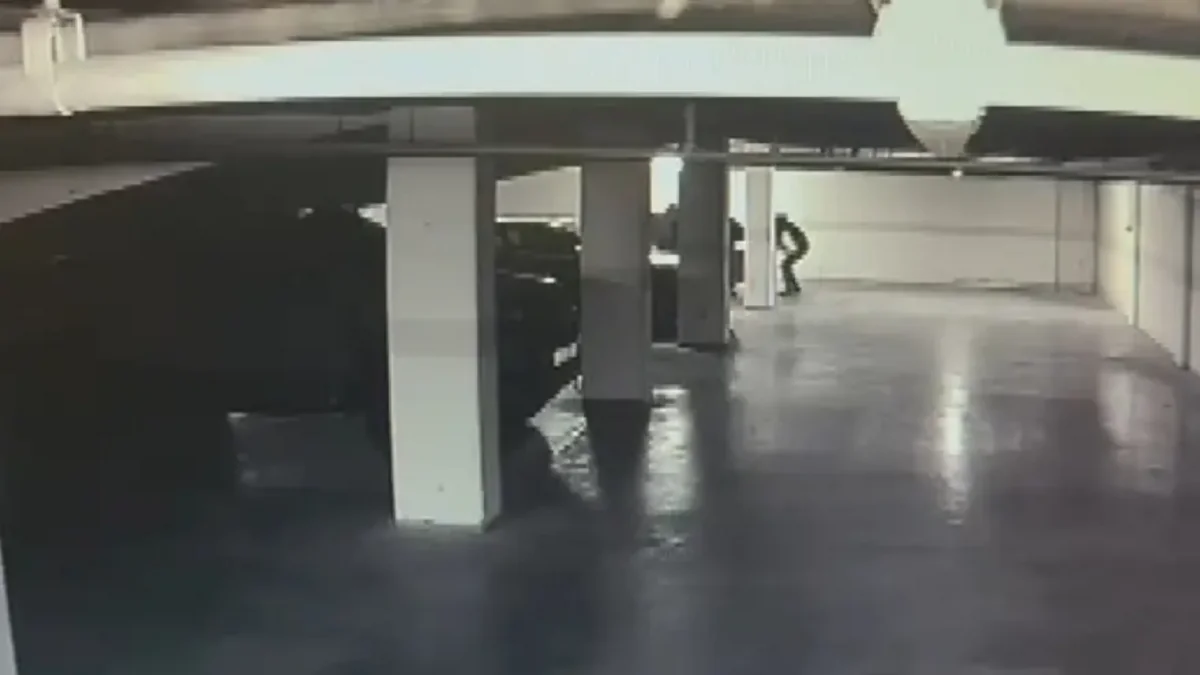 Ограбление века в Стамбуле: воры унесли 30 млн долларов за несколько минут