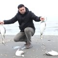 Sahil quş cəsədləri ilə doldu - Xəzər dənizində nə baş verir?