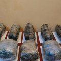 Polis 58 kiloqramdan artıq narkotik vasitə aşkarladı