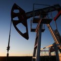 Цены на нефть возобновили рост