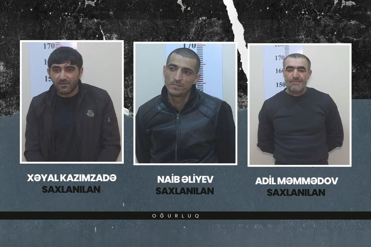 Gəncədə antik əşyalar oğurlayan şəxslər saxlanıldı - VİDEO