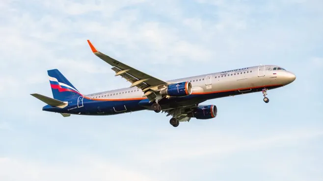 Авиарейс Москва-Баку столкнулся со стаей птиц и совершил аварийную посадку