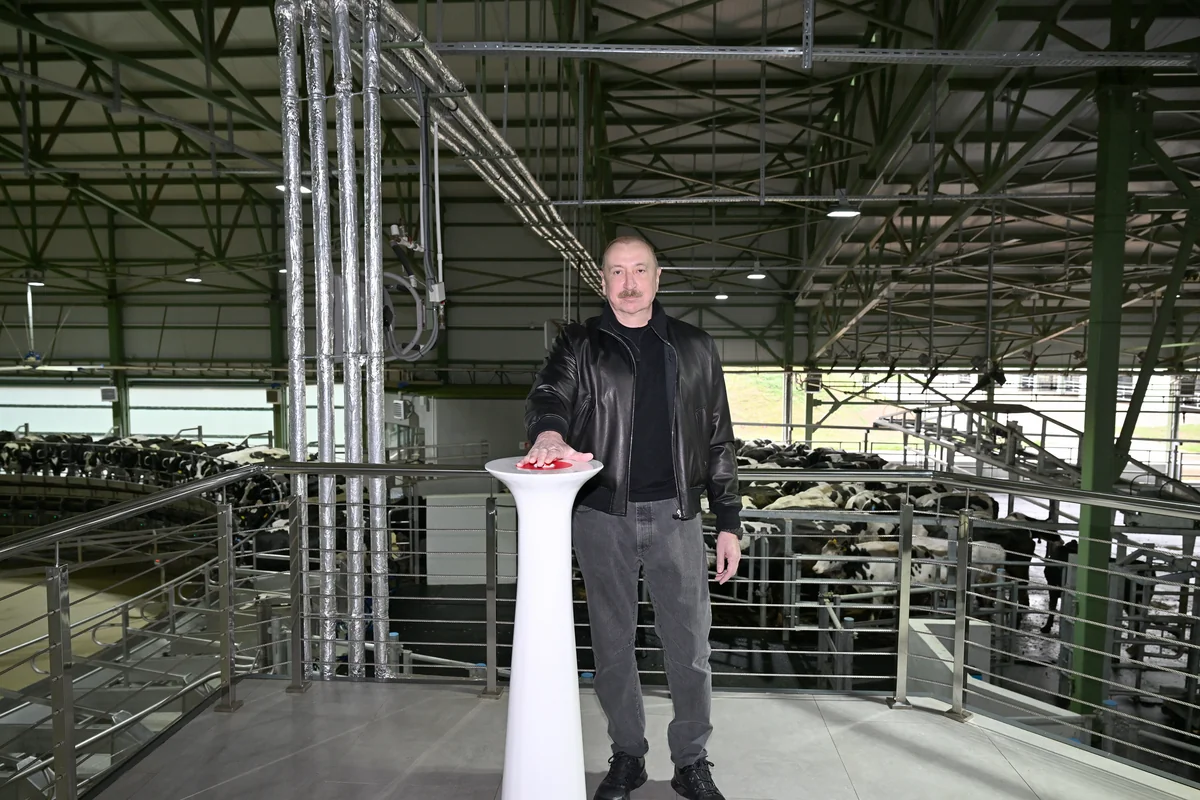 İlham Əliyev Şamaxıda 