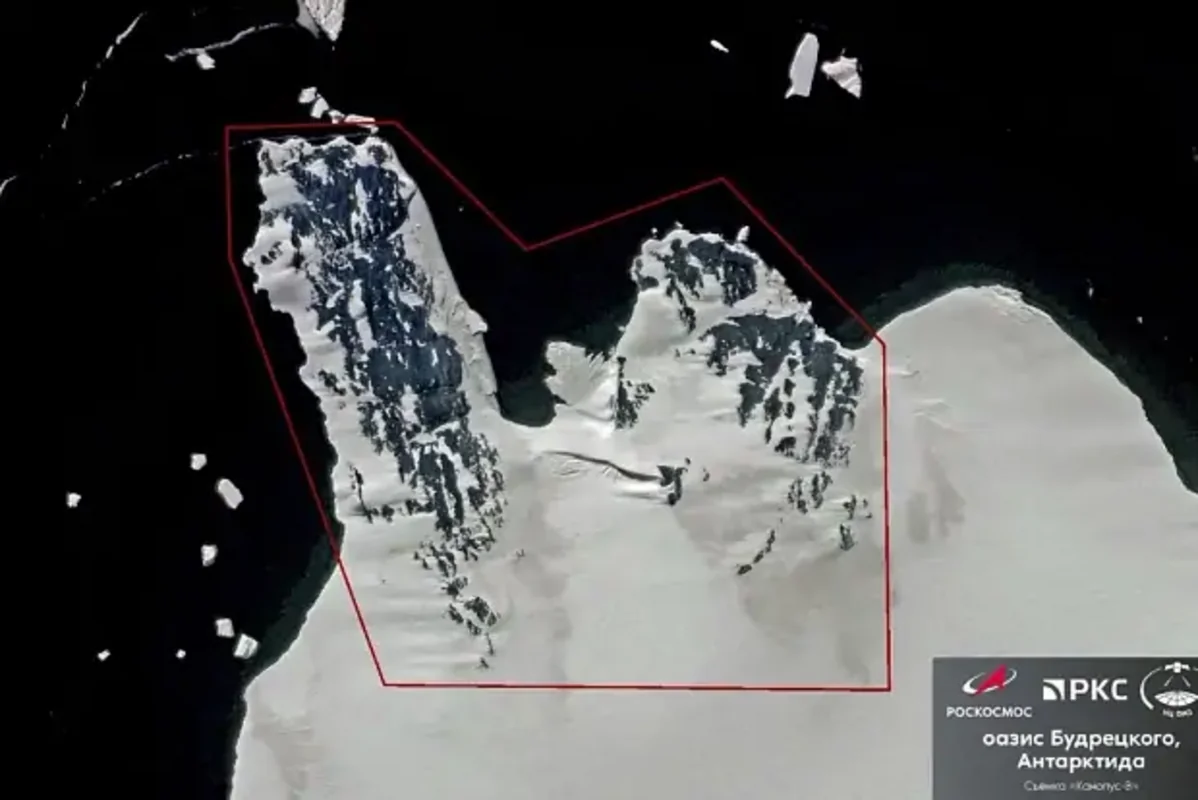 Rusiyalı alimlər Antarktidada vahə kəşf ediblər