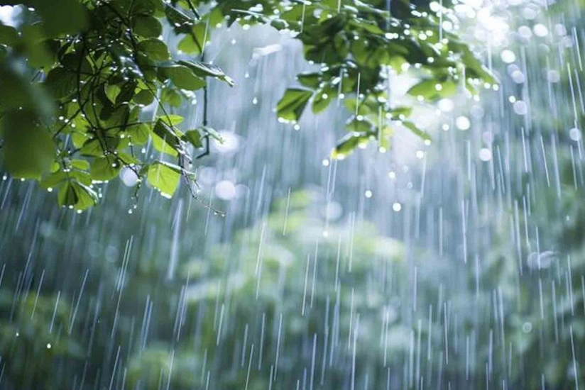 Rayonlarda yağıntı intensivləşəcək - XƏBƏRDARLIQ