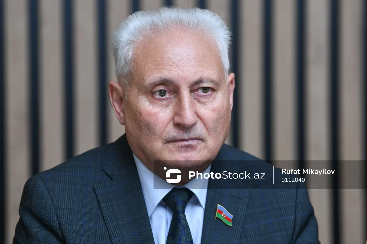 Хикмет Бабаоглу награжден орденом 