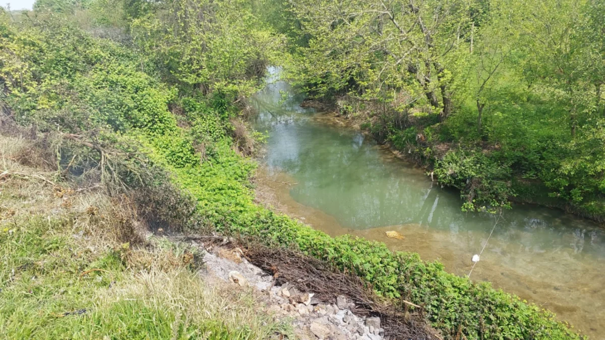 Lənkəranda torpaq sürüşməsi olub - FOTO