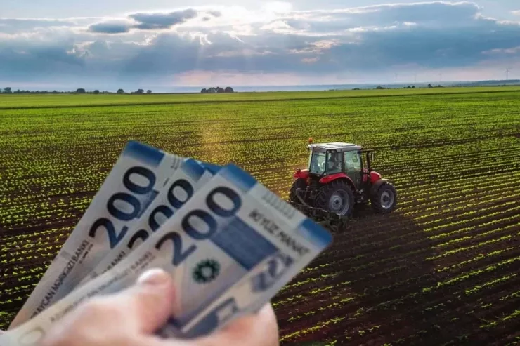 Bitkiçilik sahəsindəki subsidiya və güzəştlərlə bağlı cinayət işi AÇILDI