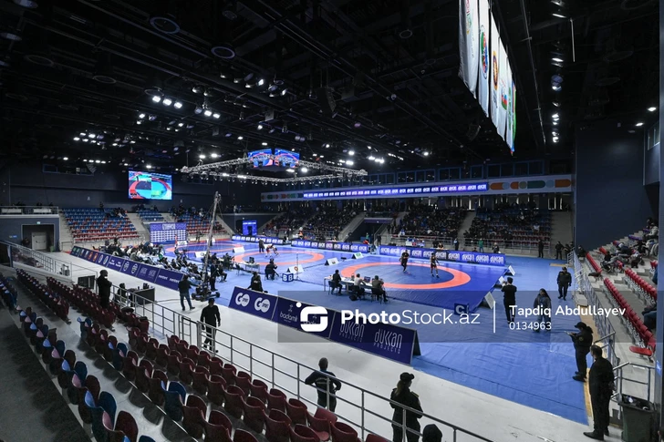 Пять азербайджанских борцов вольного стиля вышли в полуфинал чемпионата Европы в Албании-ОБНОВЛЕНО-ФОТО