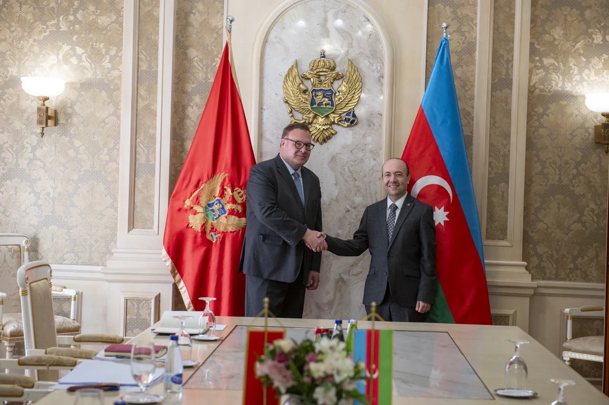 МИД Азербайджана и Черногории провели очередной раунд политконсультаций