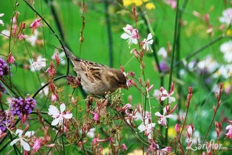 Sabah 25 dərəcə isti olacaq - PROQNOZ
