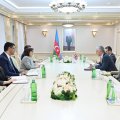 Milli Məclisin sədri Britaniya səfiri ilə görüşüb