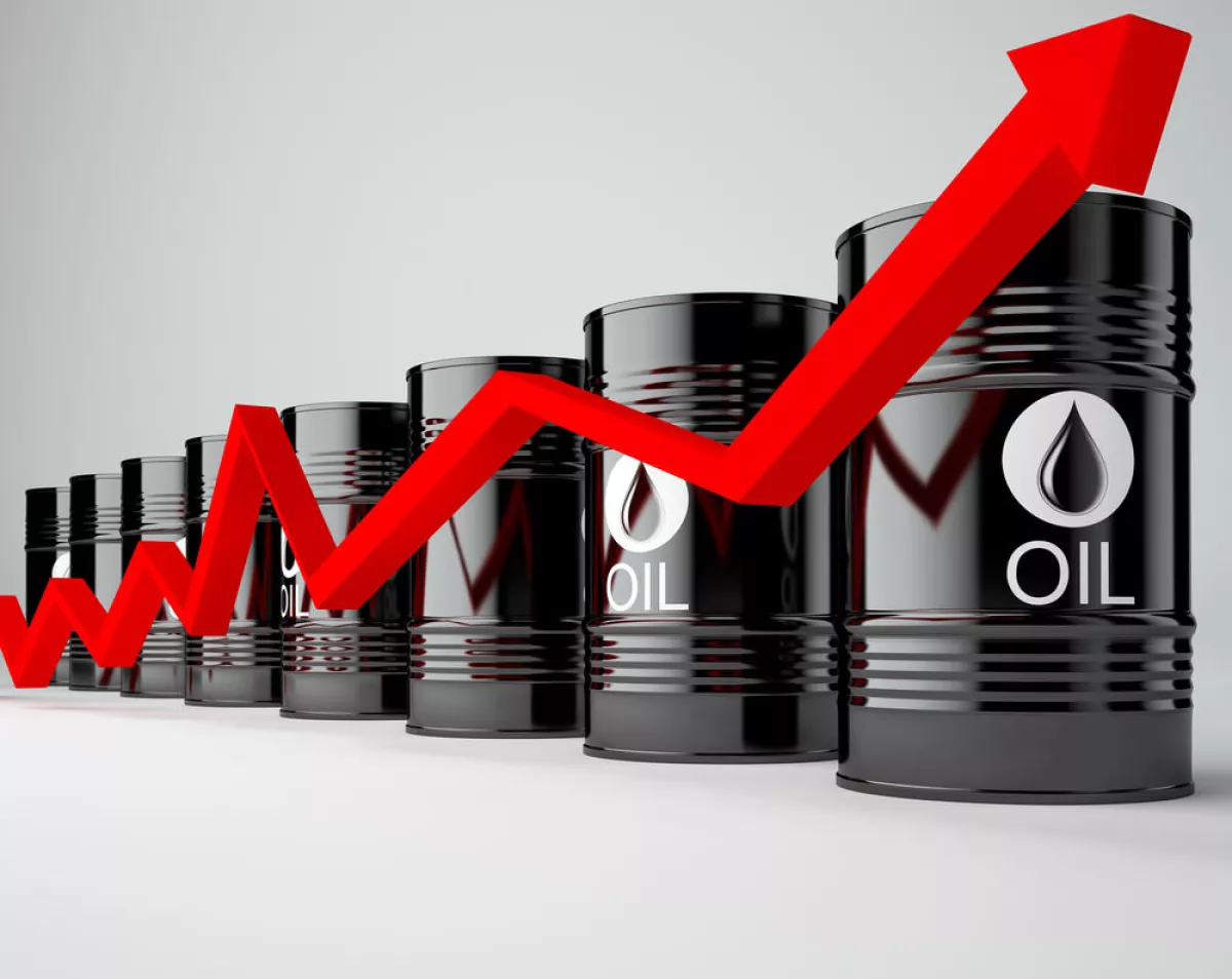 Цена на нефть марки Brent превысила $110 за баррель - ОБНОВЛЕНО