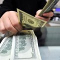 Центробанк Индонезии снизил лимит на покупку долларов до $50 тыс. в месяц