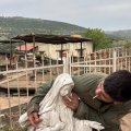 Новый громкий скандал: израильский солдат осквернил статую Девы Марии
