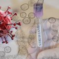 Hantavirus daha bir ölkəyə yayıldı