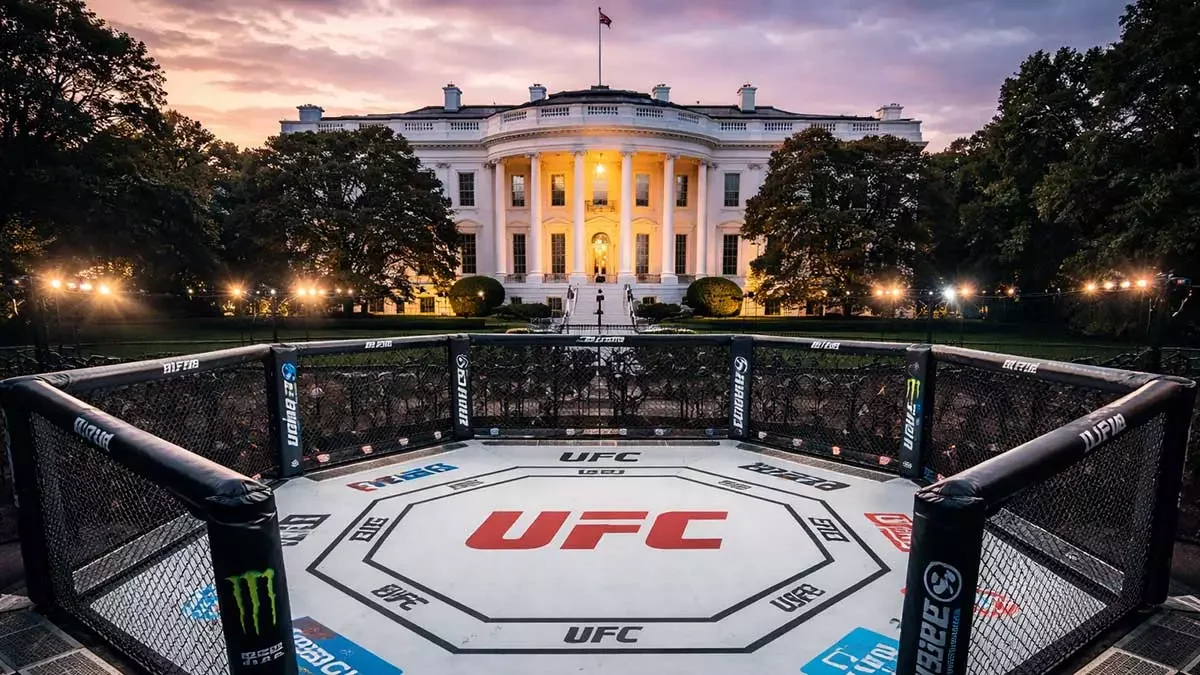 UFC turnirinin mükafat fondu açıqlandı