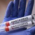 В Финляндии выявлены случаи заражения хантавирусом