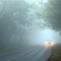 Из-за тумана снизится видимость на дорогах