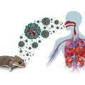 Daha bir gəmidə virus aşkarlandı - Sərnişilər təxliyə olundu