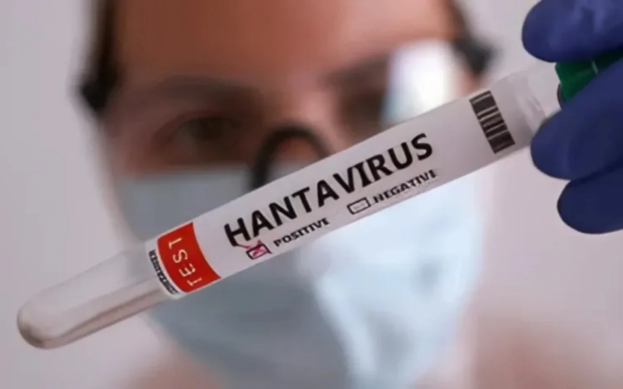 Hantavirus epidemiyası riski nə qədərdir? - ÜST-dən açıqlama