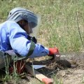 На освобождённых территориях обнаружены ещё 91 мина и 440 неразорвавшихся боеприпасов