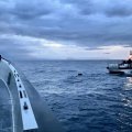 İzmirdə batma təhlükəsi ilə üzləşən 34 qanunsuz miqrant xilas edilib