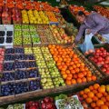 Обнародован объем производства продукции в сельхозпарках Ирана