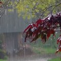Hava ilə bağlı xəbərdarlıq: Bakıda yağış, dağlıq rayonlarda qar yağacaq